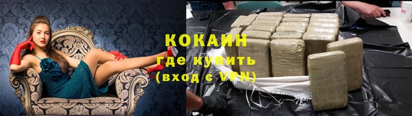 кокс Арсеньев